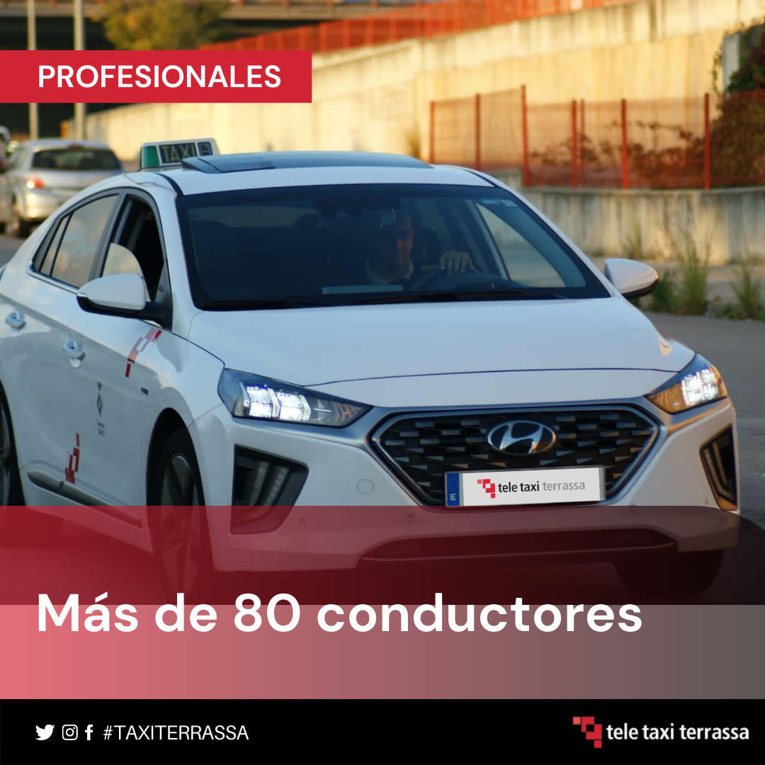 Conductores profesionales